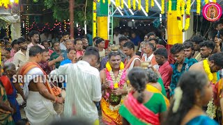 Elayanainarkulam  Highlights Of Sri Pattankarai Essaki Amman temple  Kovil Kodai  2024  puliyadi [upl. by Aldred240]