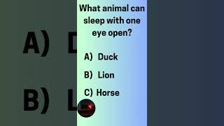 Why Ducks Sleep with One Eye Open animalfacts facts birds naturetrivia animalknowledge [upl. by Nwahsid]