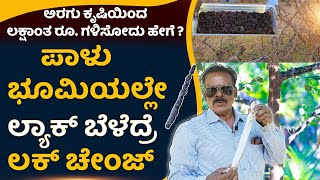 ಅರಗು ಕೃಷಿಯ ಸಂಪೂರ್ಣ ಮಾಹಿತಿhow to get lakhs of money by growing Lac [upl. by Annahsat305]