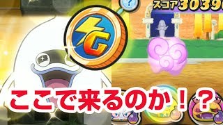 【ぷにぷに攻略】激レアのＧコインでウィスパーカットイン！ これは逃さず手に入れよう レベルファイブオールスターズ [upl. by Ecarg177]