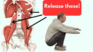 Releasing the Psoas and QL quadratus lumborum With One Exercise [upl. by Doowron]