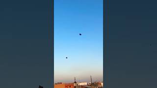 Big kite catching🪁Cutting kite caught on roof Kite looting from rooftop  Flying big kite shorts [upl. by Mctyre]