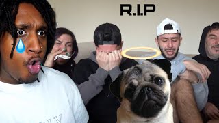 Faze Rugs Dog Bosley Passes Away emotional REACTION [upl. by Tlok444]