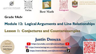 Conjecture and Counterexamples  Logical Arguments and Line Relationships [upl. by Sashenka647]