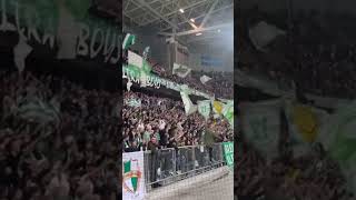 Åh heja Hammarby Hammarby supportarna i derbymatchen mot Djurgården [upl. by Gittel]