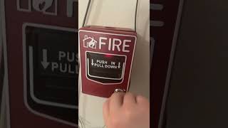 Fire alarm test 5 [upl. by Nadnal708]