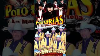 Conjunto Primavera ft Los Rieleros Del Norte norteñas norteñasmix mixparapistear norteño [upl. by Range155]