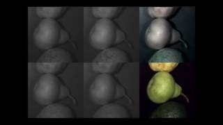 Food monitoring snapshot multispectral camera [upl. by Nednal]