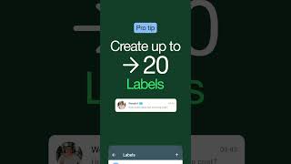 Set up Labels in the WhatsApp Business App [upl. by Ultann]