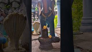 Sivaya namahasivarathrisivanwhatsappstatus tamilyoga vallalar muruganvideos [upl. by Higgs547]