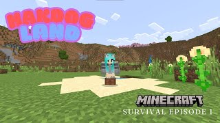 Episode 2345 Minecraft Series Again [upl. by Gustavo]