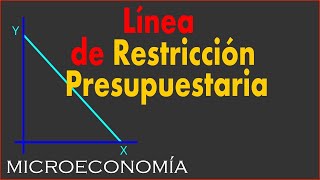 Linea de Restricción Presupuestaria [upl. by Jolda]