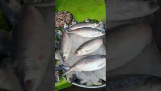 Ilish Mach Kolkata❤️ hero block video bangla train vlog [upl. by Branham320]