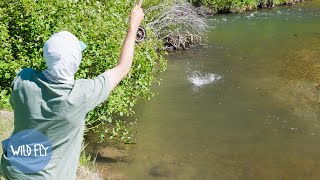 Solo Dry Fly Fishing amp Camping Utah [upl. by Fox252]