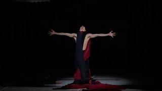 Nijinsky  Ballett von John Neumeier [upl. by Vine]