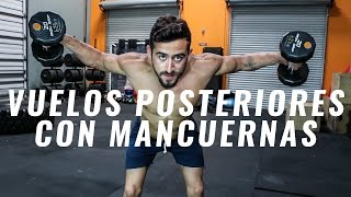 Cómo hacer Vuelos Posteriores con Mancuerna Inclinado  Ejercicio para Hombro  Deltoides Posterior [upl. by Nyleuqaj]