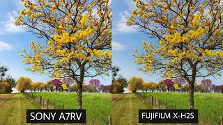 Sony A7RV Vs Fujifilm XH2S  Camera Test [upl. by Attelliw589]