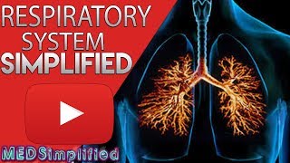 Respiratory System Made Easy [upl. by Gavin745]