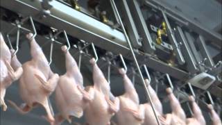 Cut Up and Deboning System for Chicken [upl. by Enimrej410]