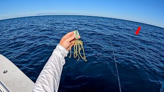 I Dropped THIS Bait 20 MILES Offshore and CHAOS ERUPTED [upl. by Ollayos]