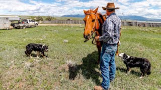 Inside a Real Montana Ranch  Whats it REALLY Like [upl. by Erna880]