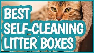 Best SelfCleaning Litter Box in 2019  TOP 10 SelfCleaning Litter Boxes [upl. by Anile]