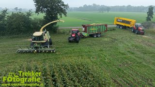 Maïsoogst 24  Beute  Chopping Maize  Mais Häckseln  Krone  Massey Ferguson  DEWA [upl. by Mccafferty]