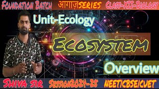 OVERVIEWClass 12 Biology Ecosystem Energy Flow Food Chains and Ecological Pyramids [upl. by Edahs681]