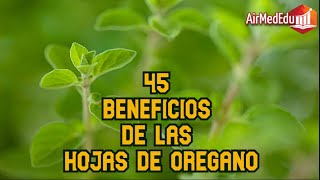 45 Beneficios de las Hojas de Oregano [upl. by Alyacim]