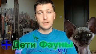 Котенок не может сходить в туалет Как помочь котенку при запоре [upl. by Jezabelle910]