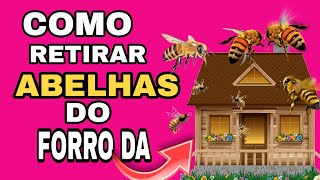 Como retirar as abelhas do forro telhado da casa de forma ecológica [upl. by Patrice]