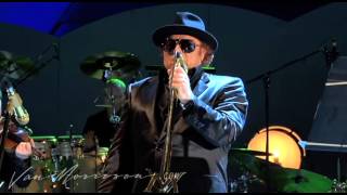 Van Morrison  The Way Young Lovers Do live at the Hollywood Bowl 2008 [upl. by Hairej]