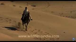 Indias Thar Desert in Rajasthan [upl. by Audra]