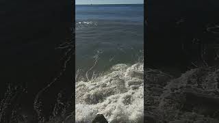 Malibu King Tides beach malibu waves malibubeach kingtide ocean oceanview travel [upl. by Anotyad]