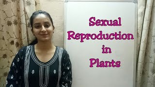 Reproduction in Plants  Life processes lecture series  Biology class 10  Lecture 27 [upl. by Cleo]