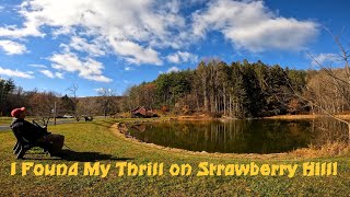 Strawberry Hill Michaux State Forest [upl. by Orazal244]