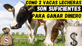 como 2 vacas lecheras es suficientes para ganar dinero y comprar mas en el futuro empieza desde cero [upl. by Yelahc]