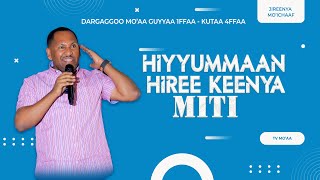 Hiyyummaan Hiree Keenya Miti Luba DrGammachiis Dastaa  Dargaggoo Moaa Finfinnee  kutaa 4ffaa [upl. by Nitnert]