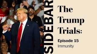 Immunity  The Trump Trials Sidebar [upl. by Atthia]