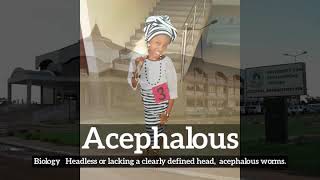 What is Acephalous  How Does Acephalous Look  How to Say Acephalous in English [upl. by Moule]