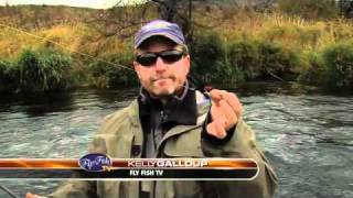 STEELHEAD FISHING DESCHUTES WITH KELLY GALLOUP [upl. by Cardon]