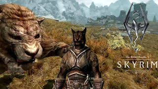 Khajiit vs Sabre Cat in skyrim [upl. by Margaret794]