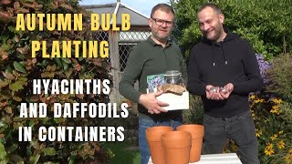 Planting Hyacinths and Daffodils in Pots  Autumn Bulb Planting  How to Grow Spring Bulbs in Pots [upl. by Verney]