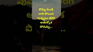 Neethi vakyalu 1382  manchi matalu  quotations  jeevitha satyalu  telugu sukthulu  top matalu [upl. by Ahsima]