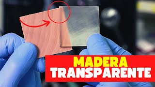 MADERA TRANSPARENTE ¡El mejor REEMPLAZO ecológico DEL PLASTICO Inventos Innovadores [upl. by Hehre]