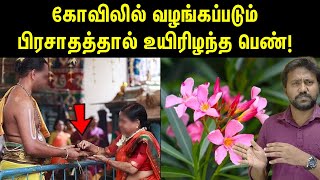 அவ்வளவு கடுமையான விஷமா இந்தச் செடி  Nerium oleander poisonous plant  அரளிச் செடி விஷம் [upl. by Yelnahs]