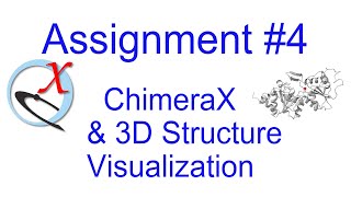 Assignment 4 ChimeraX and 3D Structure [upl. by Alejandrina]