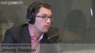 Jimmie Åkesson gästar Ring P1 [upl. by Yremrej]