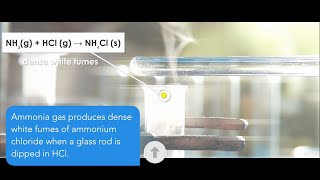 Reaction between calcium hydroxide and ammonium chloride  CaOH2NH4Cl [upl. by Alvin278]