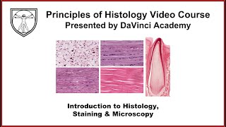 Introduction to Histology Staining and Microscopy [upl. by Gordie]